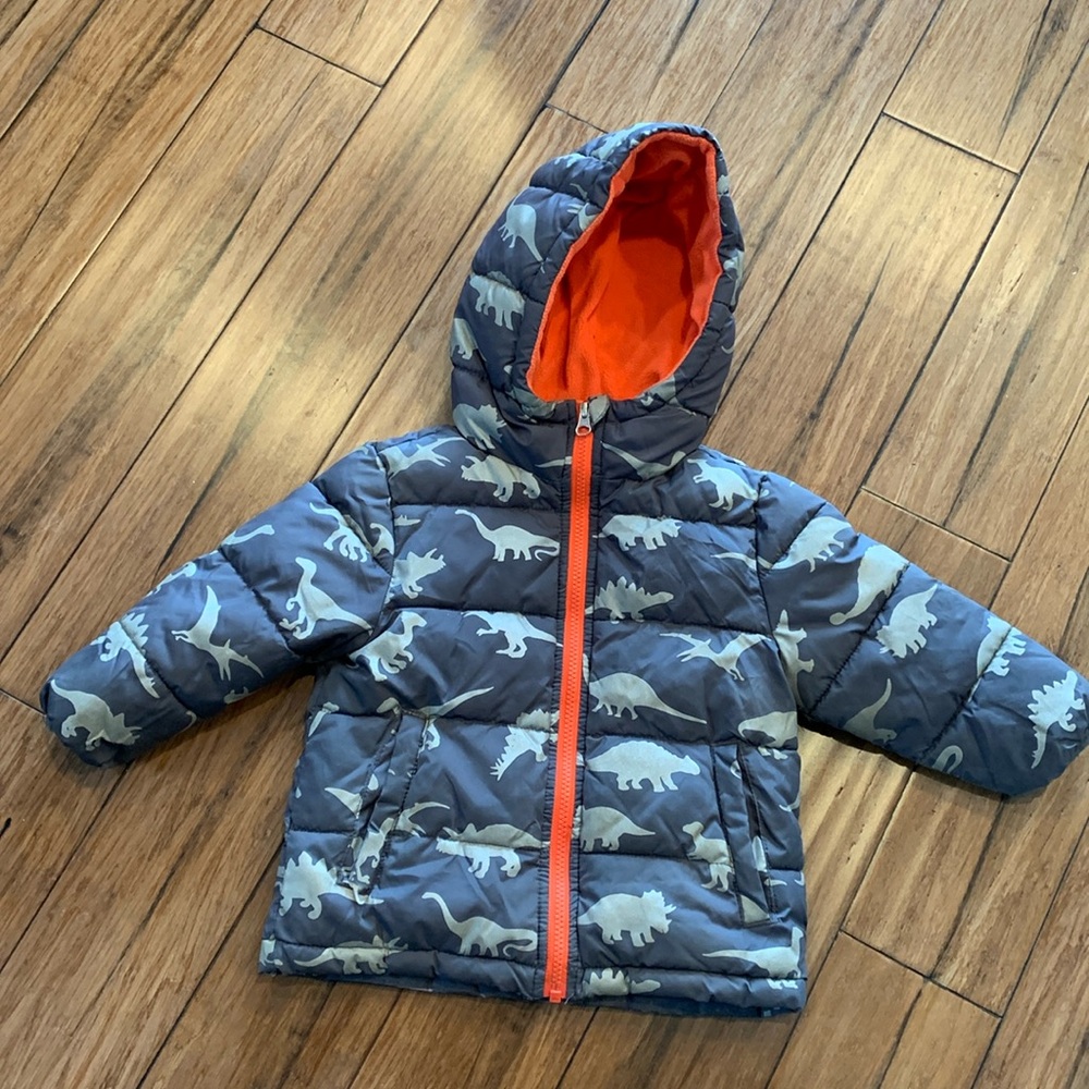 Warm winter coat 2T dinosaur print